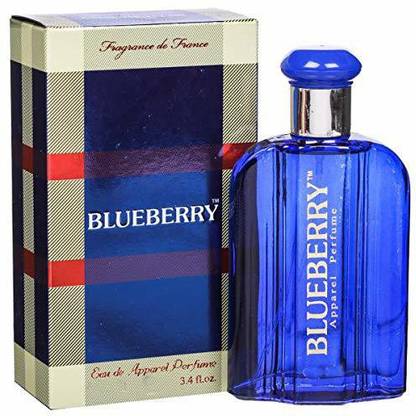 BLUEBERRY blue berry Perfume  -  100 ml