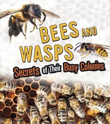 Bees and Wasps