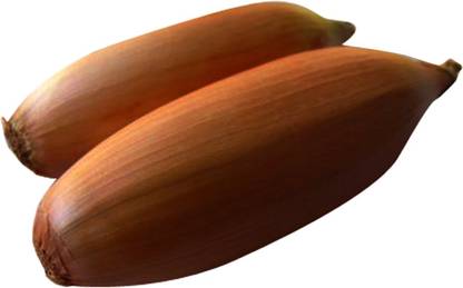 Futaba Mini Onion Shallot - 100 Pcs Seed