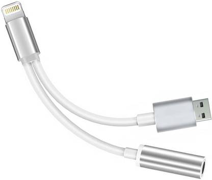 Finest Magnetic Charging Cable 0.1 m 2 in 1 Lightning to 3.5mm Headphone Jack Adapter Charge Cable Usb Port Music and Charge