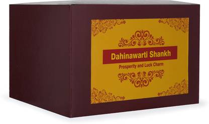 Live Vaastu Sacred Shankh