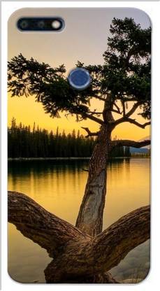 wowdesignhub Back Cover for Honor 7C