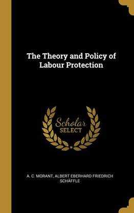The Theory and Policy of Labour Protection