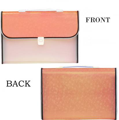 जेस्टेल पॉलीप्रोपलीन 13 पॉकेट एक्सपैंडिंग फाइल के साथ हैंडल और इंडेक्स टैब डॉक्युमेंट फोल्डर