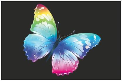 Colourful butterfly POSTER LARGE Print on 36x24 INCHES Fine Art Print