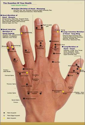 Accupressure poster Hand Wall Poster Print on Art Paper 13x19 Inches