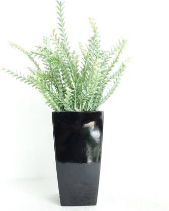 Pebble Concepts Fiber Vase with green fillers Bonsai Wild Artificial Plant  with Pot