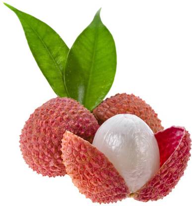 Futaba Litchi Fruit - 10 Pcs Seed