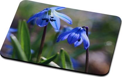 Abhirocks Nature Mouse Pad 32360 Non Slip Base Mousepad
