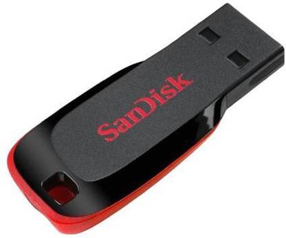 SanDisk 2GB Pendrive 101 2 GB Pen Drive Compatible with Desktop Computer, Laptop USB 2.0 Plastic Case