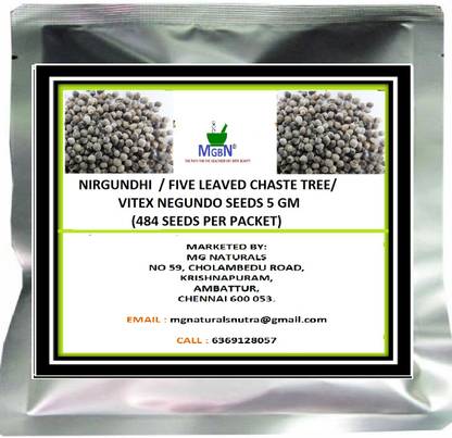 MGBN NIRGUNDHI / FIVE LEAVED CHASTE TREE /VITEX NEGUNDO SEEDS 5 GM Seed