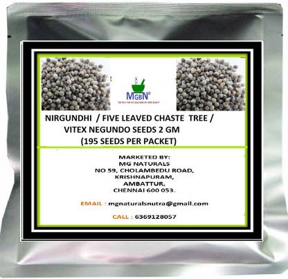 MGBN NIRGUNDHI / FIVE LEAVED CHASTE TREE /VITEX NEGUNDO SEEDS 2 GM Seed