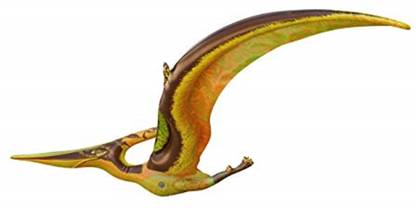 Jet Creations Di-Pte Dinosaur Pteranodon Inflatable 57" Wingspan- Great For Pool