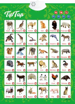 TipTap 41.58 cm 3D Sound Wall Chart Sticker Kids Learning Early Education Birds and Animals with Picture Green Reusable Sticker