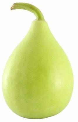 VibeX Bottle Gourd Seed
