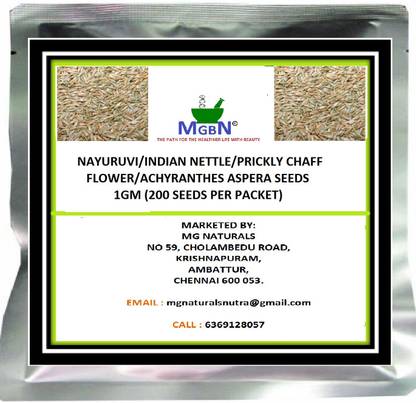 MGBN NAYURUVI/INDIAN NETTLE/PRICKLY CHAFF FLOWER/ACHYRANTHES ASPERA SEEDS 1GM Seed