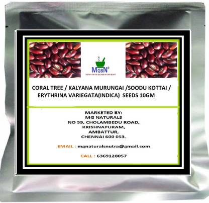 MGBN CORAL TREE / KALYANA MURUNGAI /SOODU KOTTAI / ERYTHRINA VARIEGATA(INDICA) SEEDS 10GM Seed