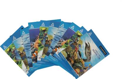 Classmate notebook (24 X 18 cm) 120 pages (Set of 10) A4 Notebook single line ruled 120 Pages