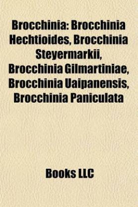 Brocchinia