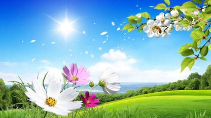 Beautiful Garden Scene Paper Print