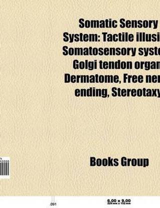 Somatic Sensory System