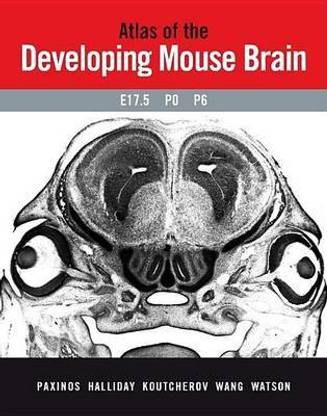 Atlas of the Developing Mouse Brain at E17.5, P0 and P6