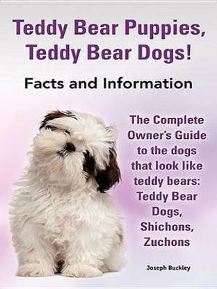 Teddy Bear Puppies, Teddy Bear Dogs! Facts and Information. the Complete Owner's Guide to the Dogs That Look Like Teddy Bears