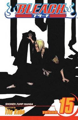 Bleach, Volume 15
