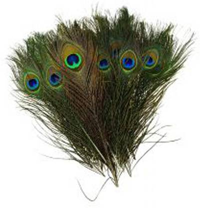 AB WORLD CLASS Original Peacock Decorative Feathers For use Multi Decoration (Pack Of 10 Feathers)