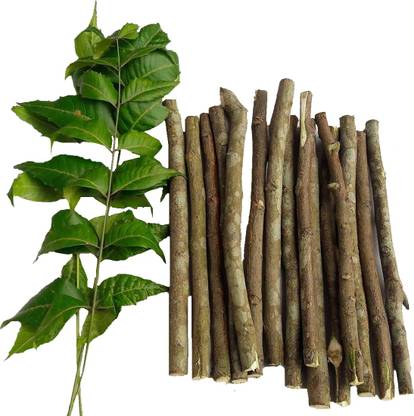 NATURAL Neem Chew Sticks Datun Toothbrush to Cure Bleeding Gums, Bad Breath, Sensitive Teeth Toothpaste