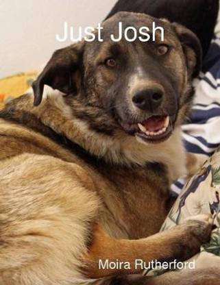 Just Josh
