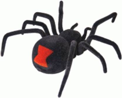 Tiny Tales Spider on the radio "Black Widow"