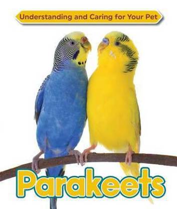 Parakeets