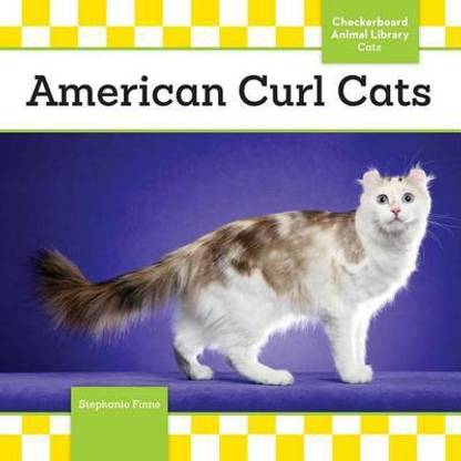 American Curl Cats