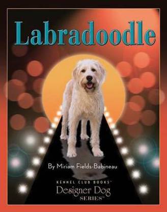 Labradoodle