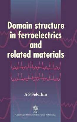 Domain Structure in Ferroelectrics and Related Materials