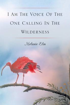 I Am The Voice Of The One Calling In The Wilderness
