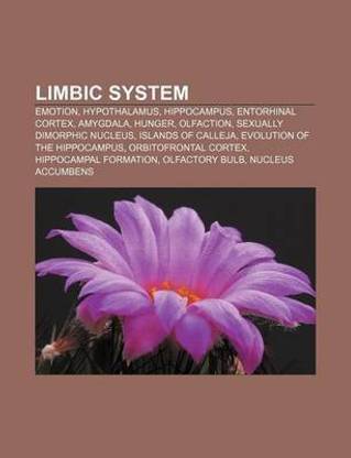 Limbic System
