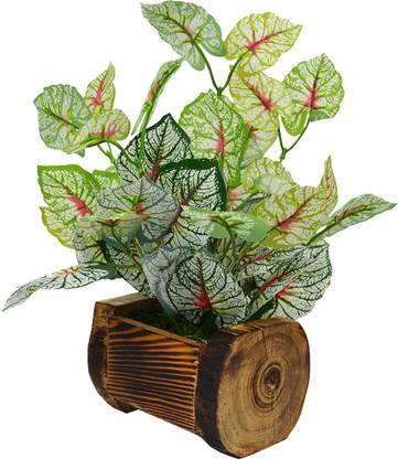 fancymart Clodium Bicolor Plant Wild Artificial Plant  with Pot