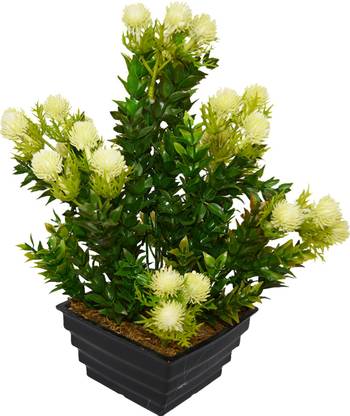 fancymart Formosan Plant Wild Artificial Plant  with Pot