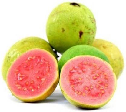 ROSEMERC imported organic Sweet red Guava Plant (50 per packet) Seed