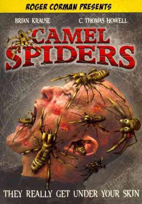 CAMEL SPIDERS