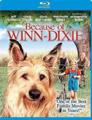 BECAUSE OF WINN DIXIE