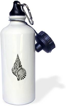 3dRose Conical seashell Water Bottle 600 ml Bottle