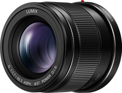 Panasonic H-HS043E-K Telephoto Prime  Lens