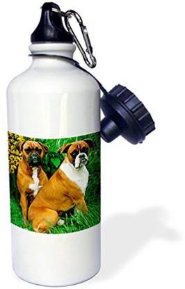 3dRose Boxer Sports Water Bottle 600 ml Steel Bottle