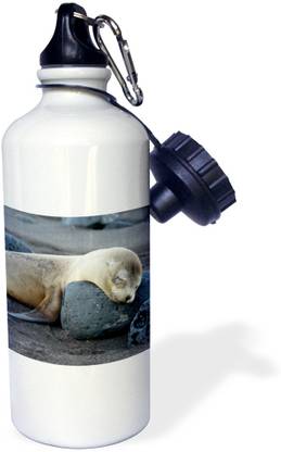 3dRose Ecuador Galapagos Santi 600 ml Bottle