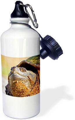 3dRose Swamp NWR. Common Snapping Turtle - US31 Water Bottle 600 ml Bottle