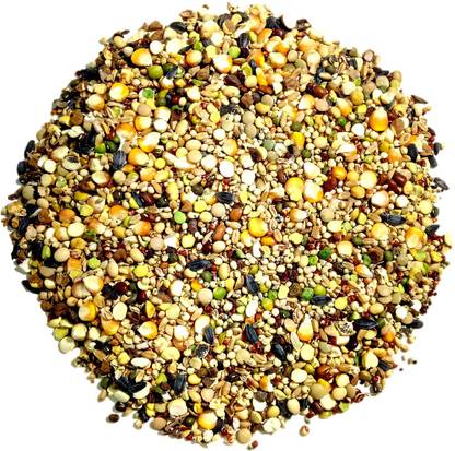 Sky Multi Seeds Natural Birds Foods for cockatiel, Parrots, Budgies,dove all Birds Nuts 1 kg Dry Young, Adult Bird Food