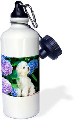 3dRose 600 ml Steel Bottle